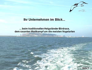 Ihr Unternehmen im Blick 2009